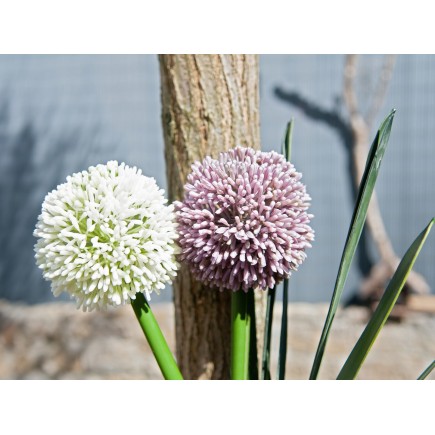EUROPALMS Allium spray, artificial, cream, 55cm